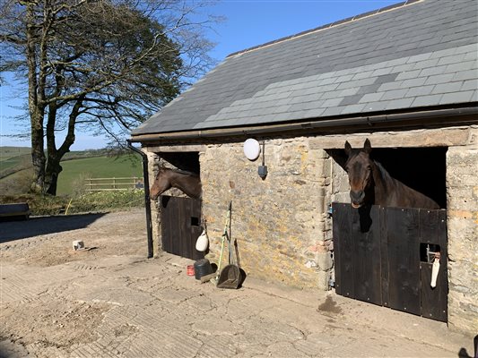 stabling available